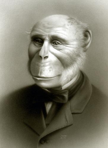 if humans can breed with chimps and procreate 'humanzees' would that